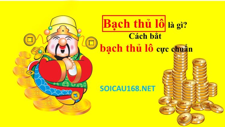 Bạch thủ lô là gì? Cách bắt bạch thủ lô cực chuẩn